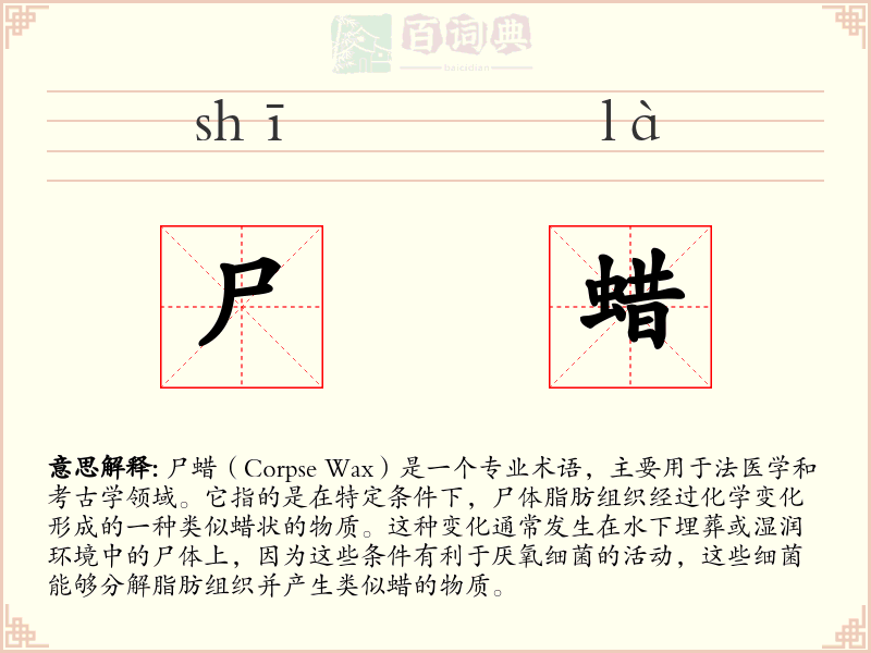 尸蜡
