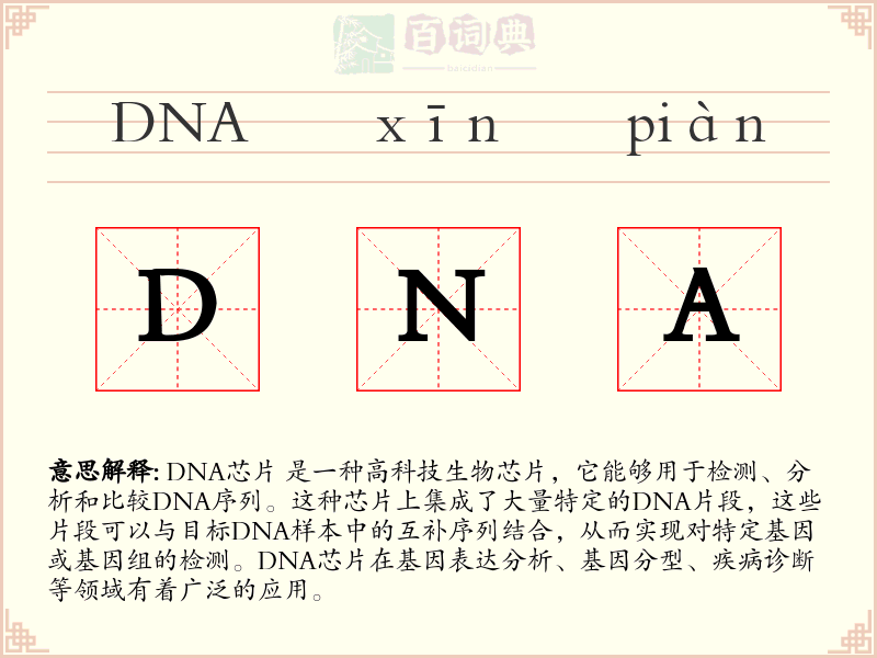 DNA芯片