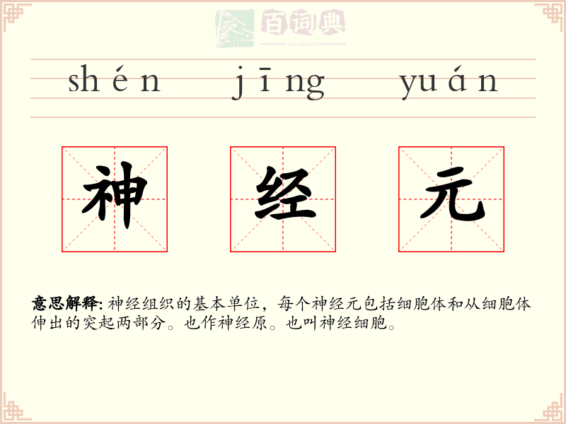 神经元