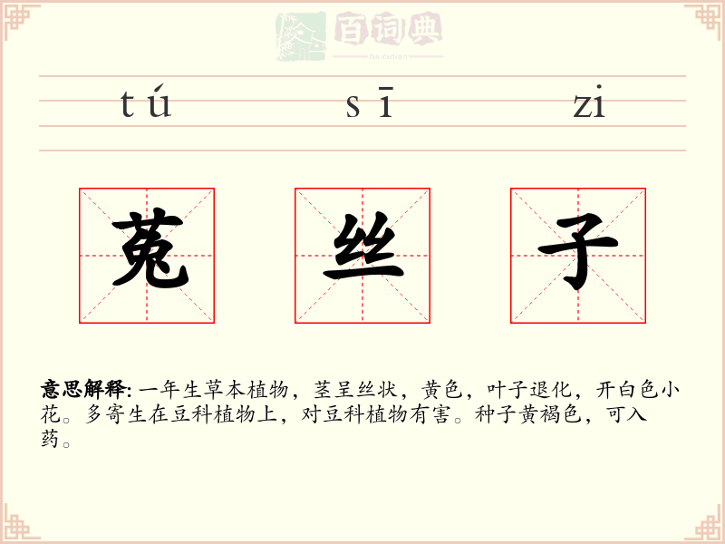 菟丝子