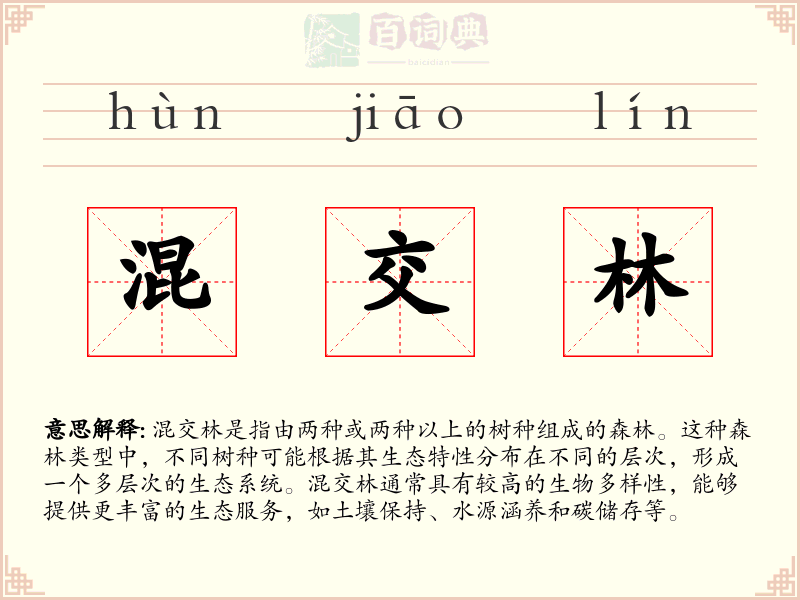 混交林