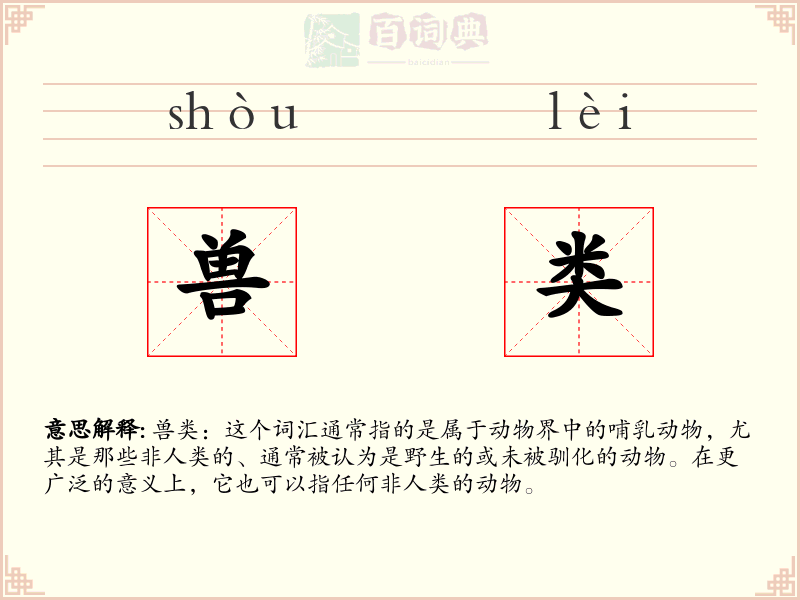 兽类