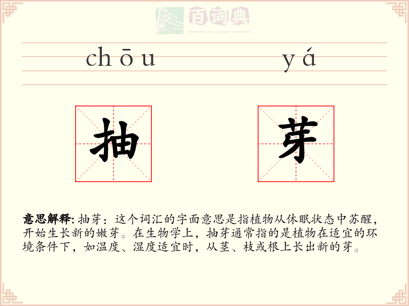 抽芽