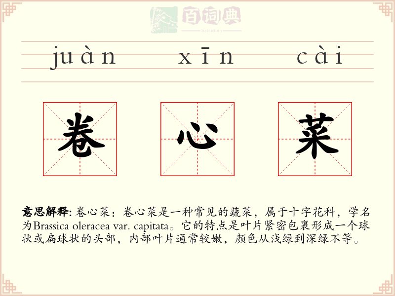卷心菜