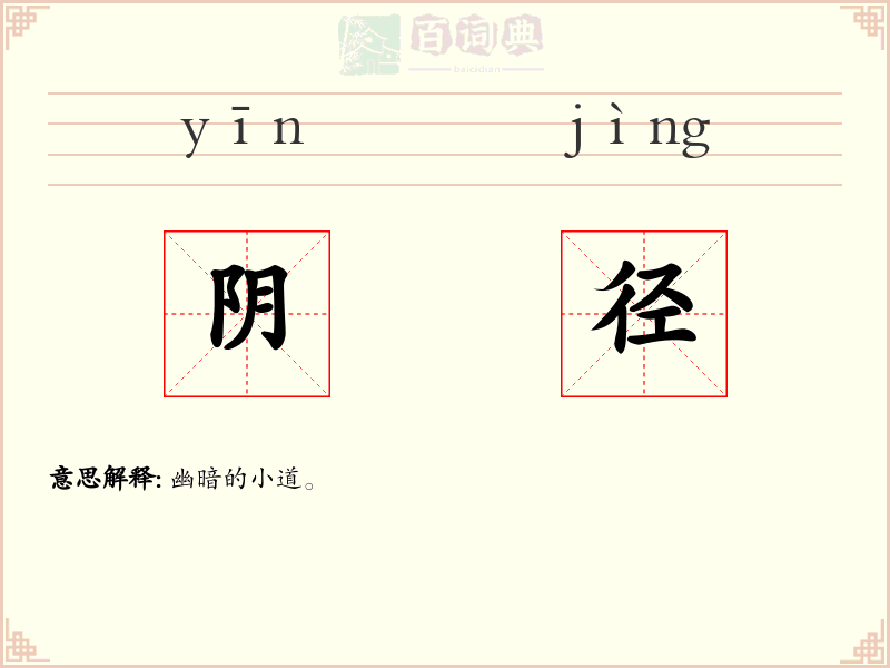 阴径