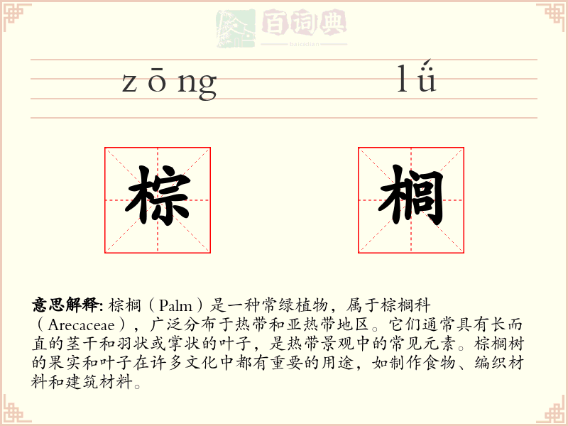 棕榈