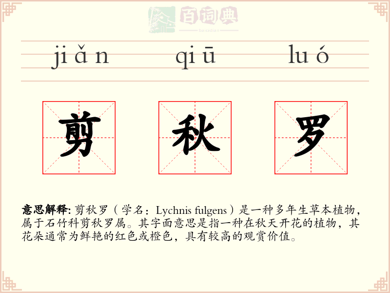 剪秋罗