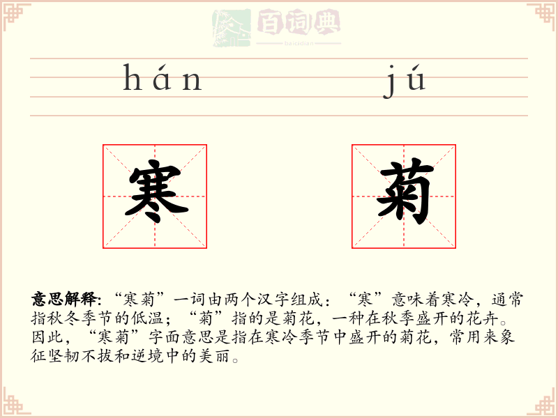寒菊