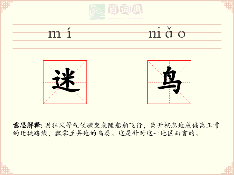 迷鸟