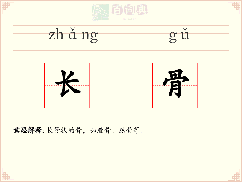 长骨