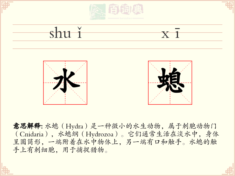 水螅