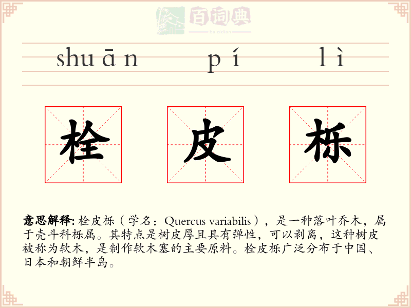 栓皮栎