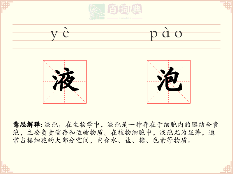 液泡