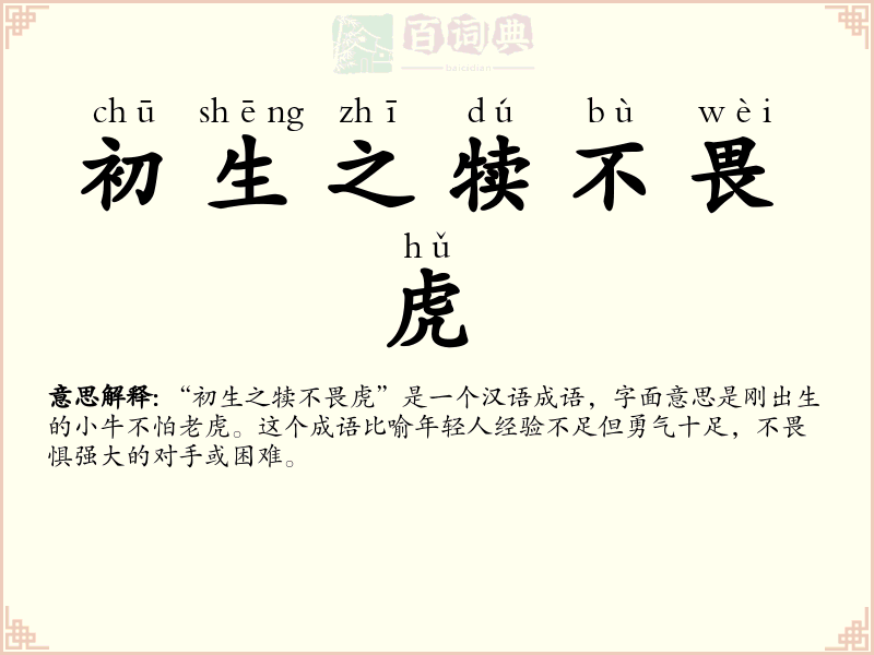 初生之犊不畏虎
