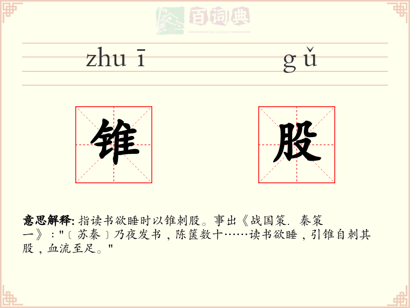 锥股