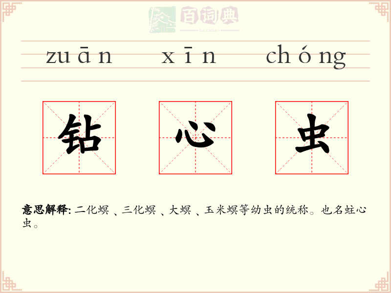 钻心虫