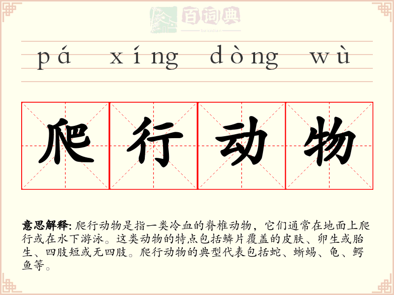 爬行动物
