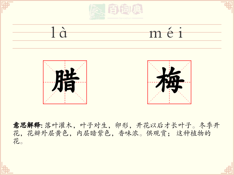 腊梅