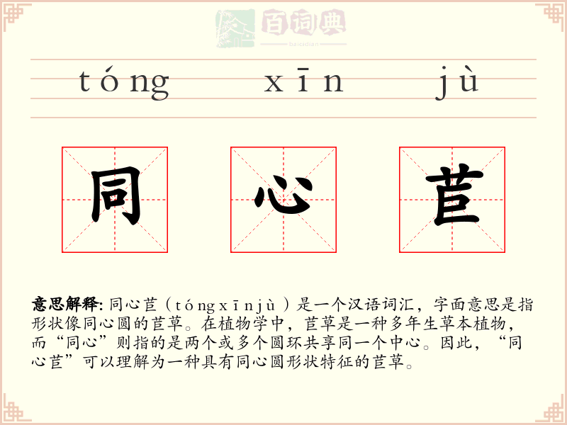 同心苣