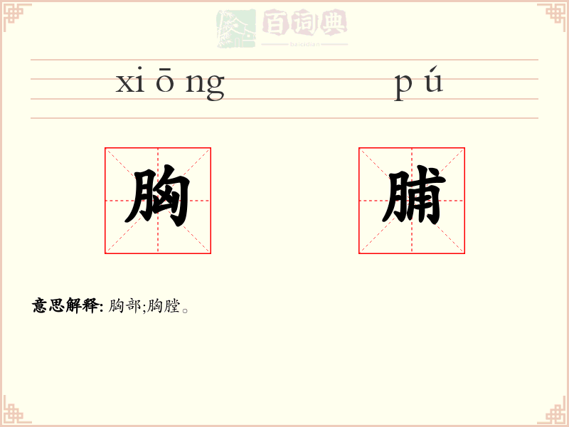 胸脯