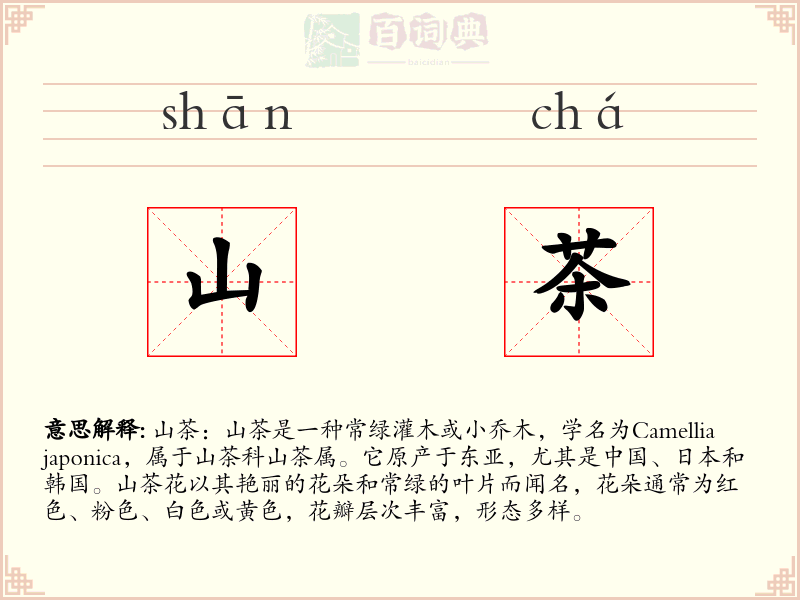 山茶