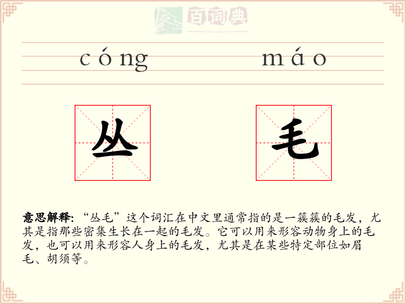 丛毛