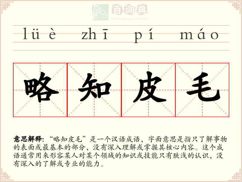 略知皮毛