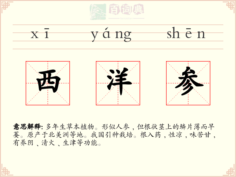 西洋参