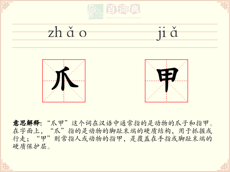 爪甲