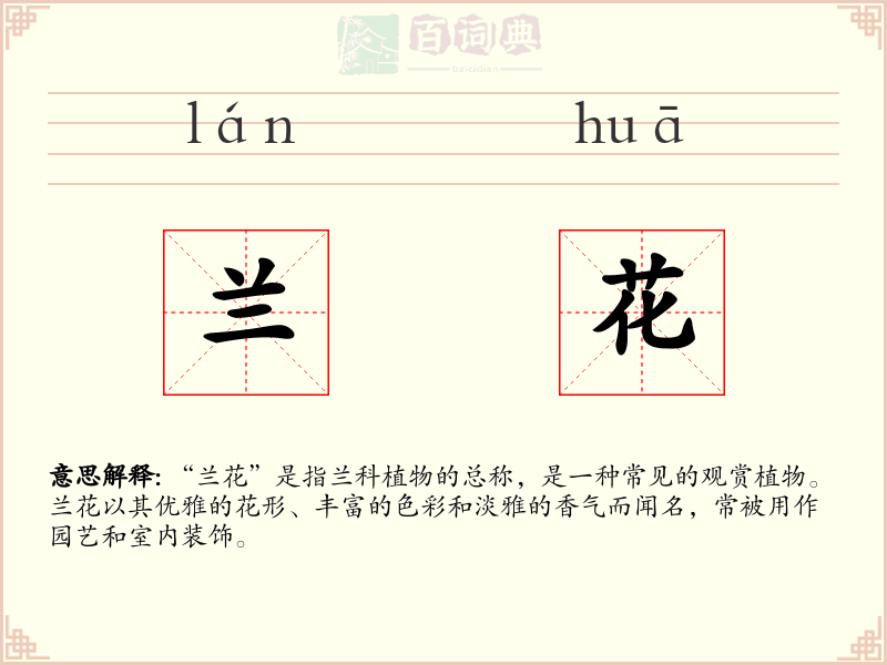 兰花