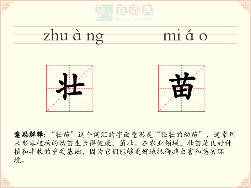 壮苗