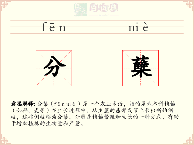 分蘖