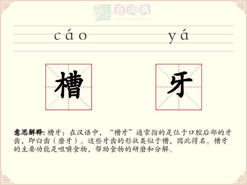 槽牙