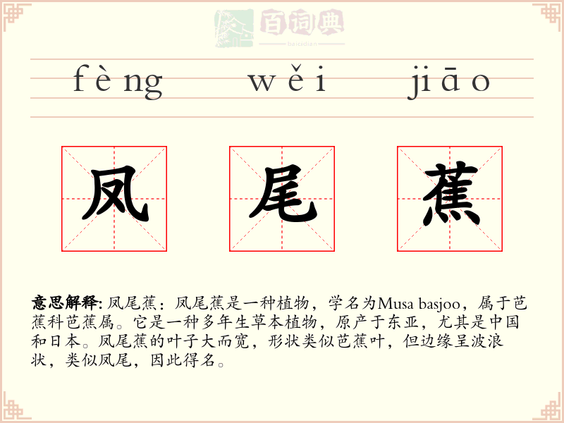 凤尾蕉