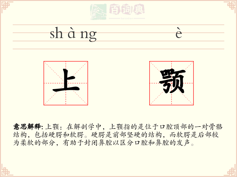 上颚