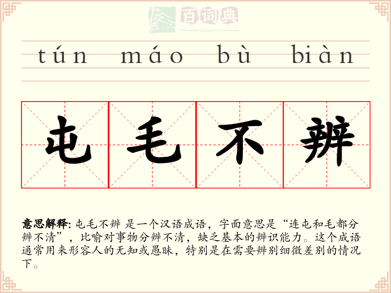屯毛不辨