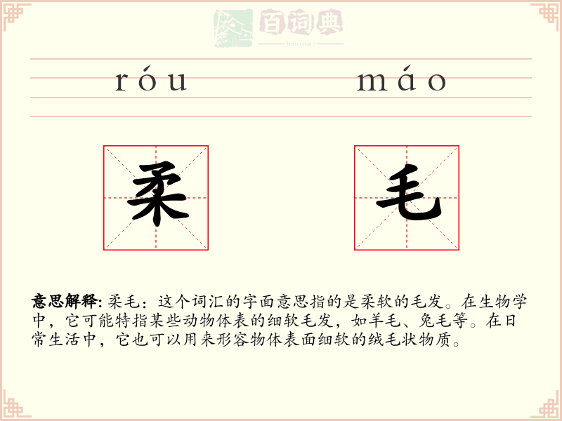 柔毛