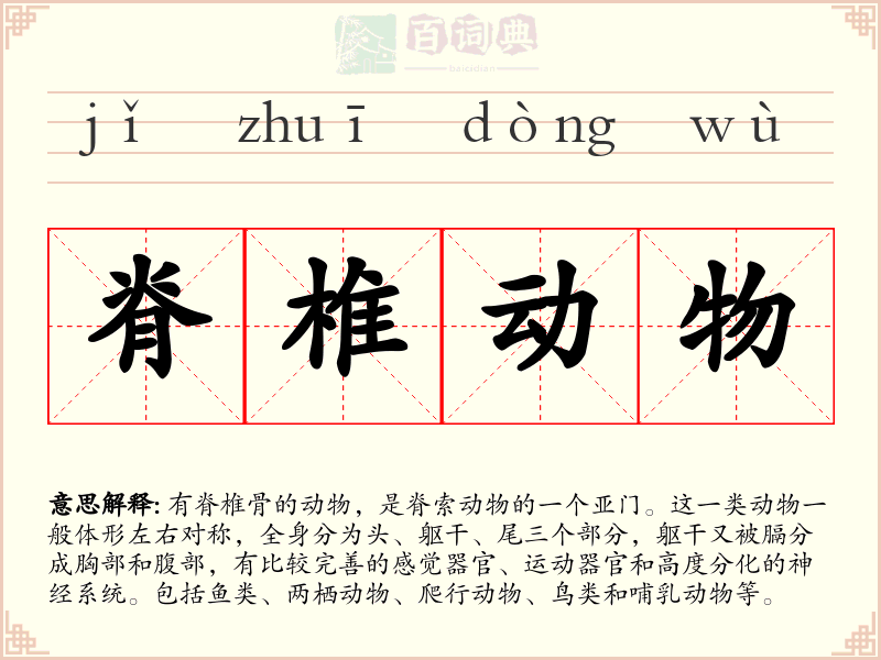 脊椎动物