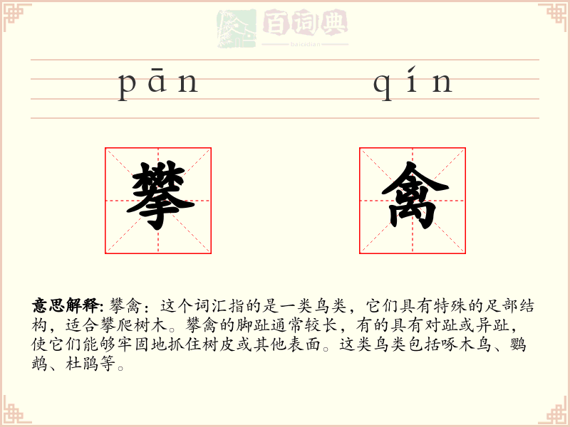 攀禽