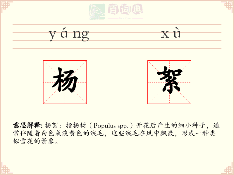 杨絮