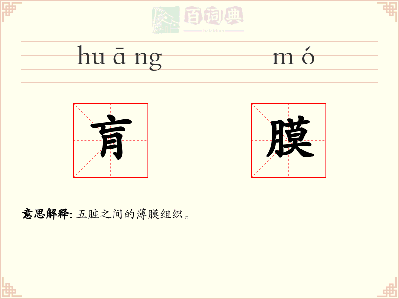 肓膜