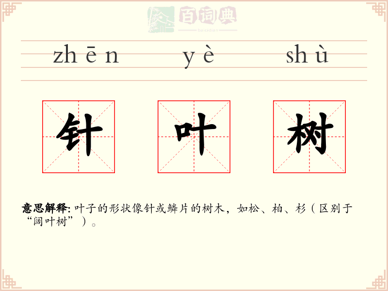针叶树