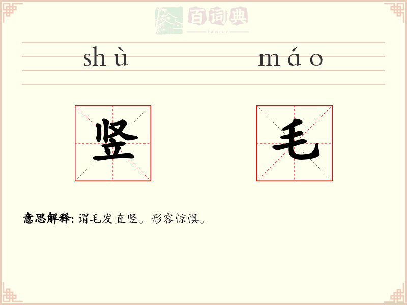 竖毛