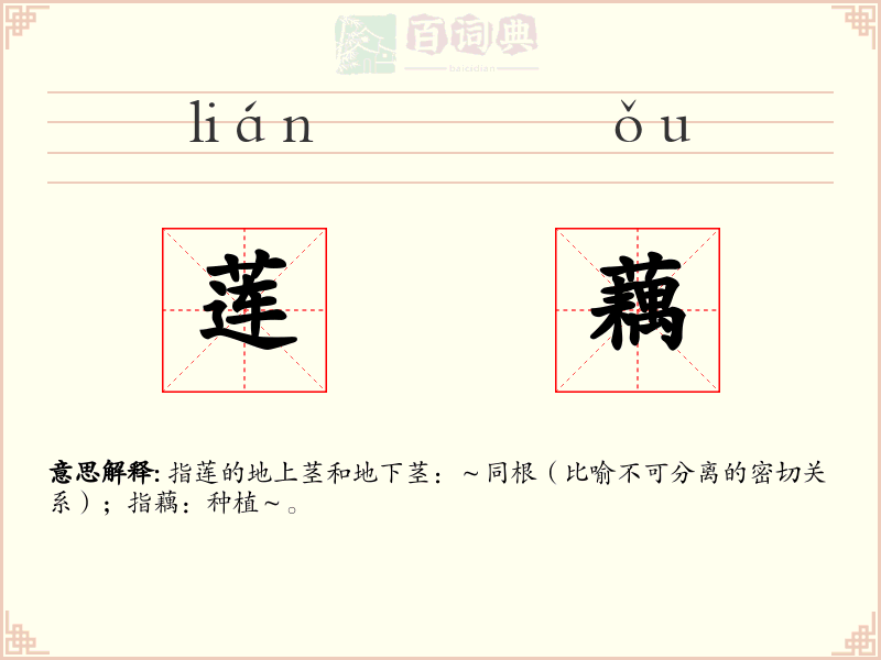 莲藕