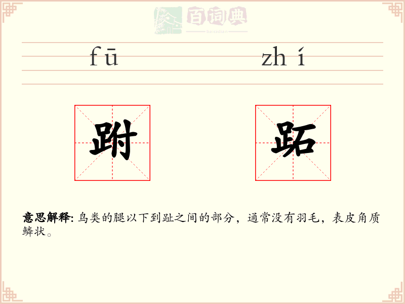 跗跖