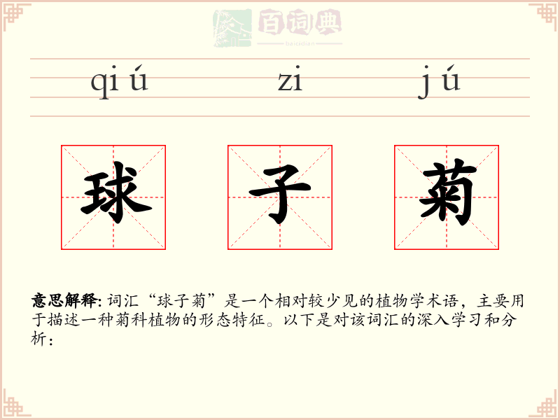 球子菊