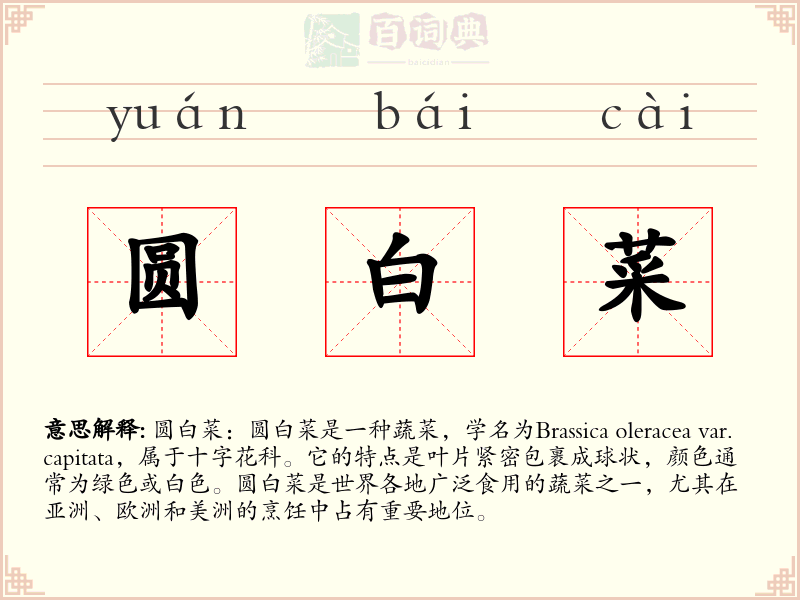 圆白菜