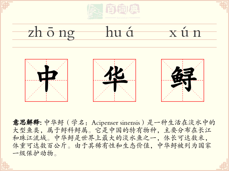 中华鲟