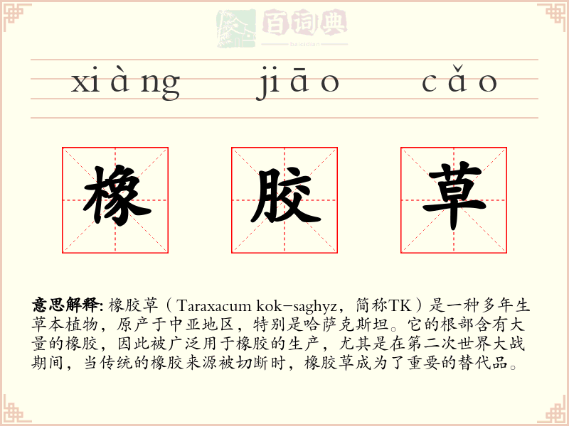橡胶草