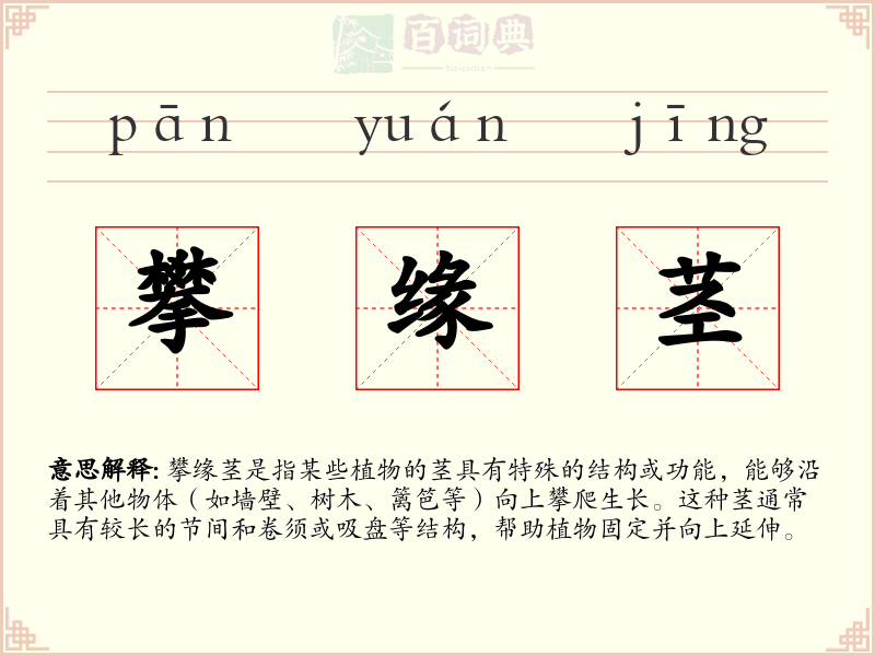 攀缘茎
